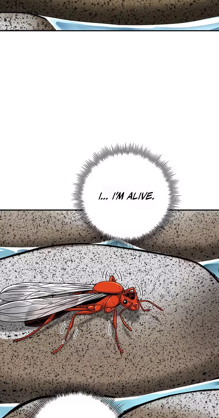 ANT Chapter 43 page 77 - 