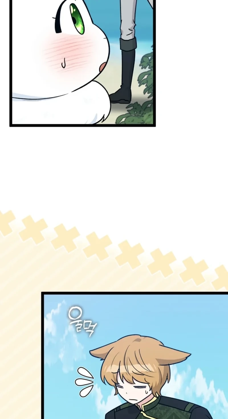 Anyone Can See It’s A Beast Chapter 63 page 11 - 