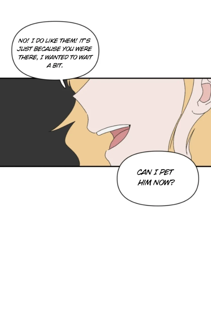 Anything! Okay Chapter 3 page 39 - 