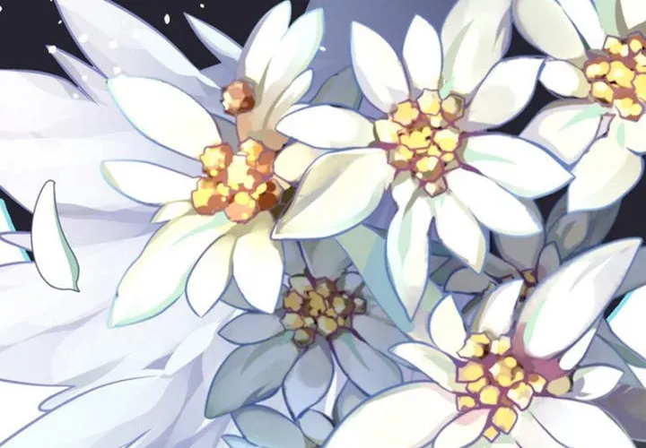 ANZ Chapter 72 page 74 - 