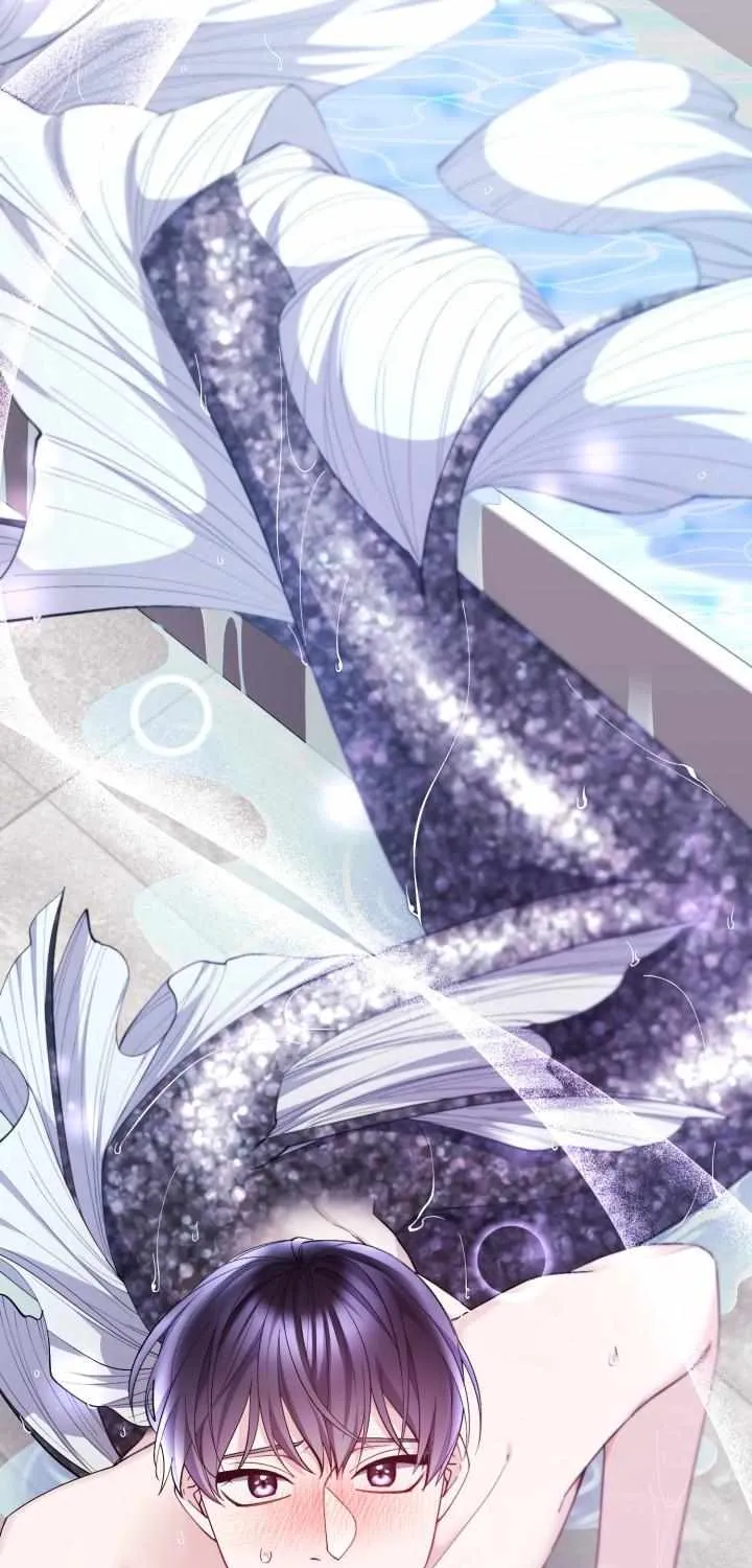 Aqua Feeling Chapter 3 page 63 - 