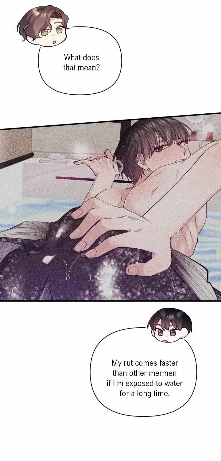 Aqua Feeling Chapter 5 page 17 - 