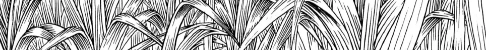 Arm of Kannon Chapter 2 page 28 - 