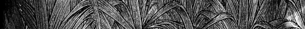 Arm of Kannon Chapter 2 page 46 - 