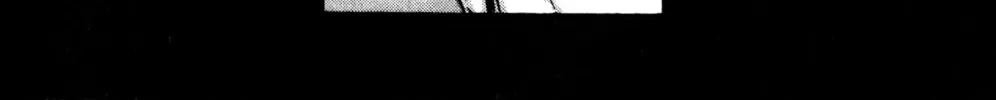 Arm of Kannon Chapter 3 page 116 - 