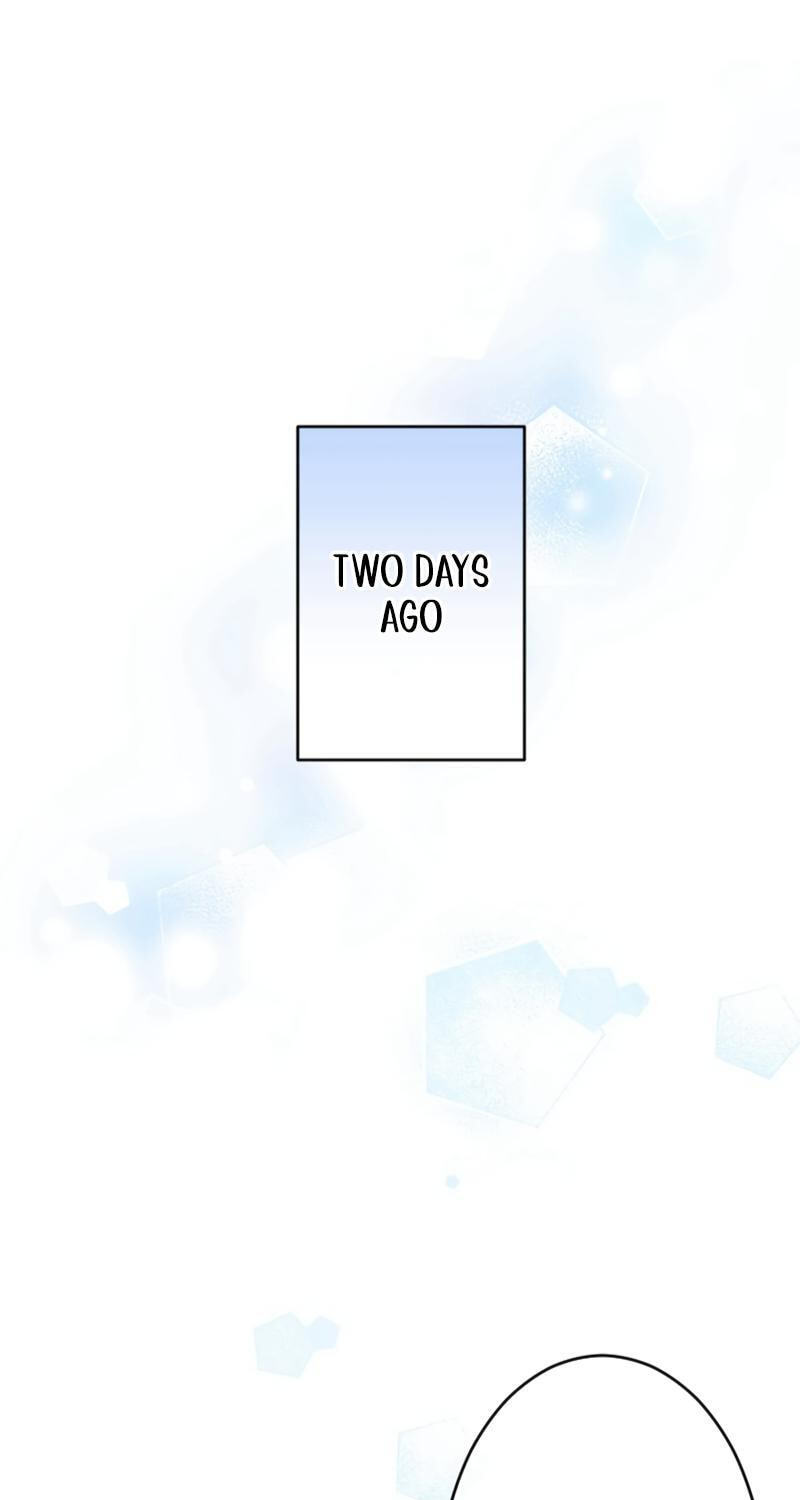 As a Reincarnated Villainess and a Single Mother, I've Secured the Love Route! Chapter 19 page 1 - 