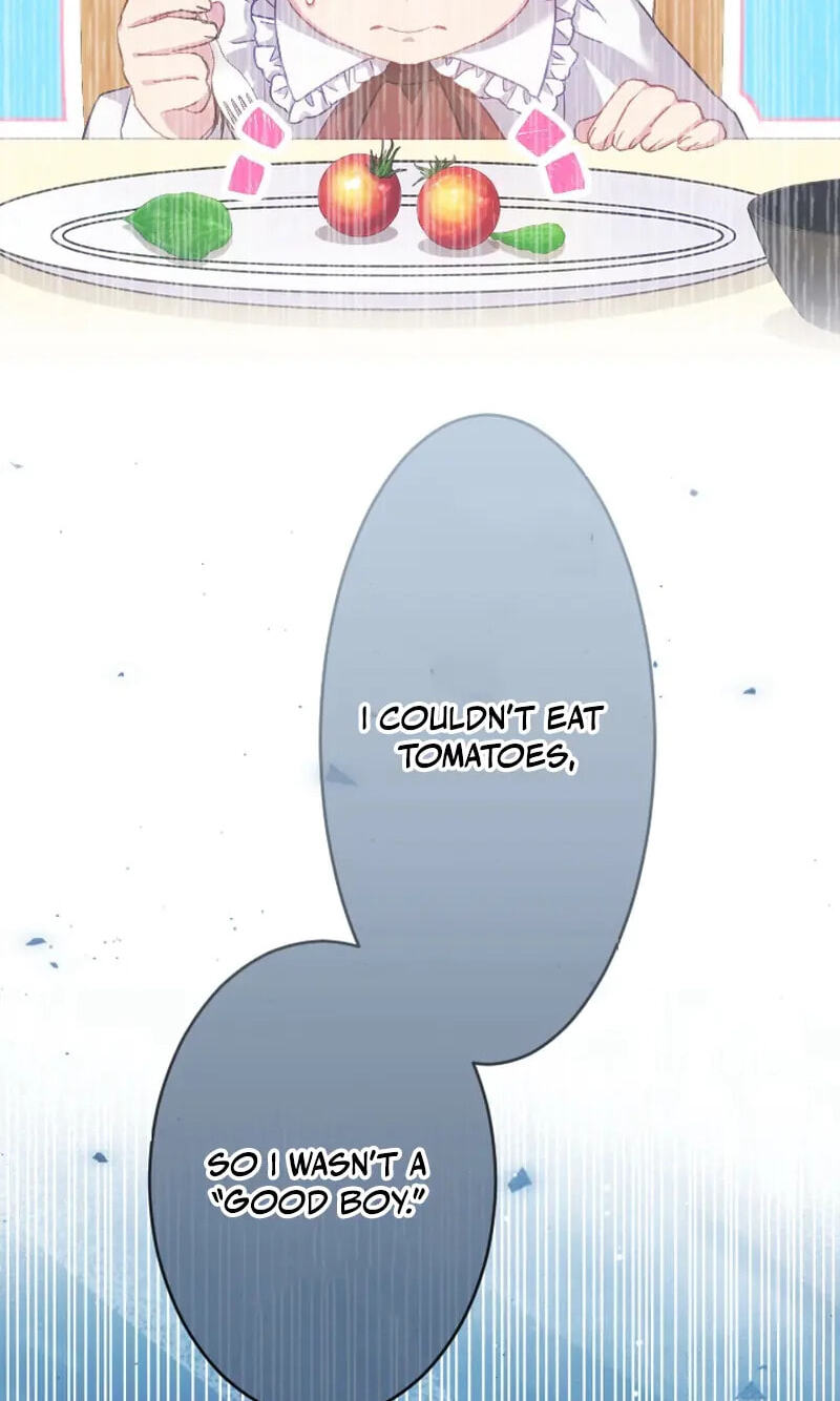 As a Reincarnated Villainess and a Single Mother, I've Secured the Love Route! Chapter 28 page 47 - 