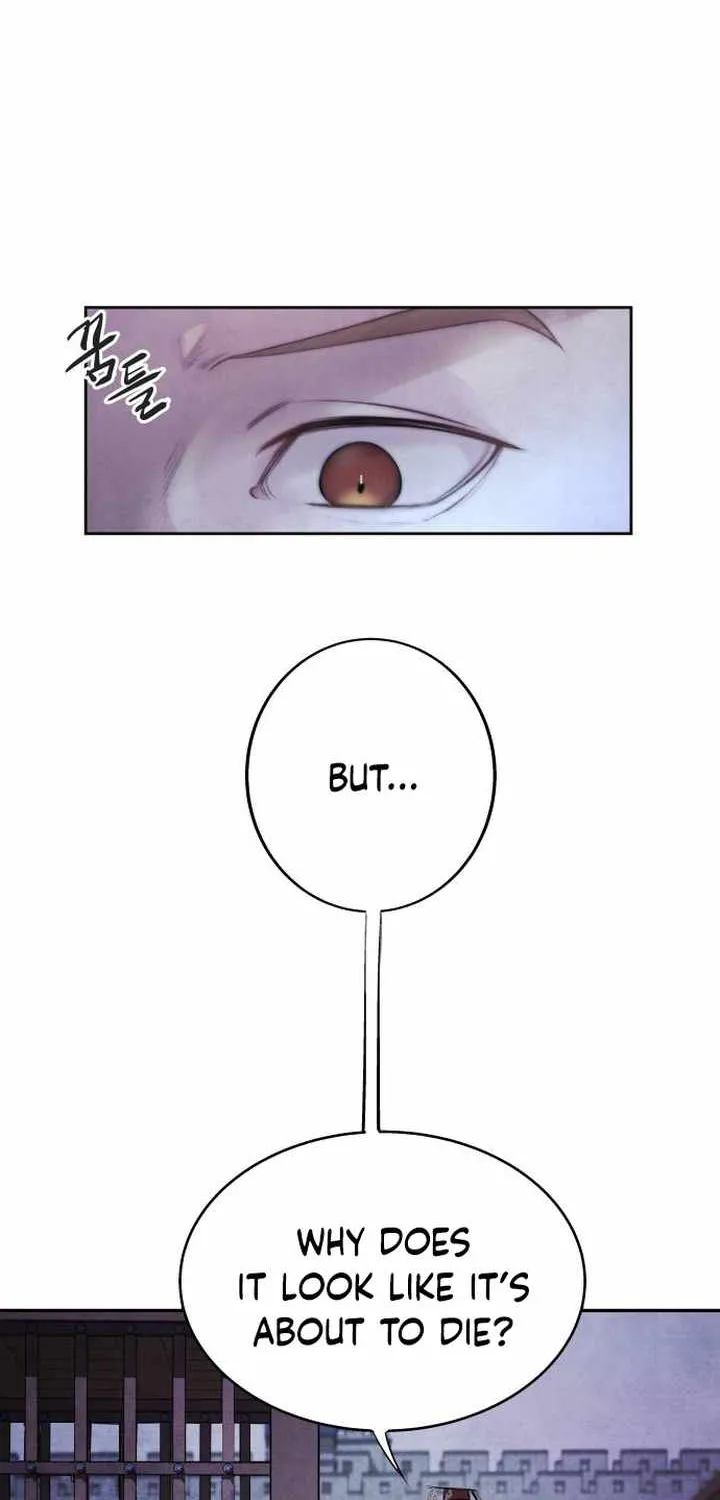 ASHA Chapter 1 page 27 - 