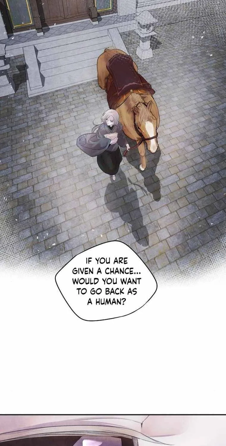ASHA Chapter 11 page 31 - 