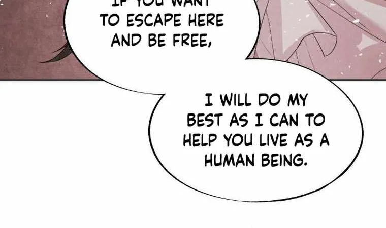 ASHA Chapter 15 page 22 - 