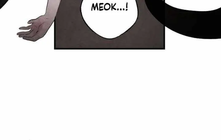 ASHA Chapter 16 page 28 - 