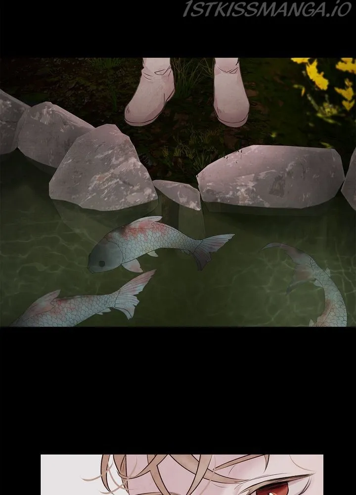 ASHA Chapter 20 page 50 - 