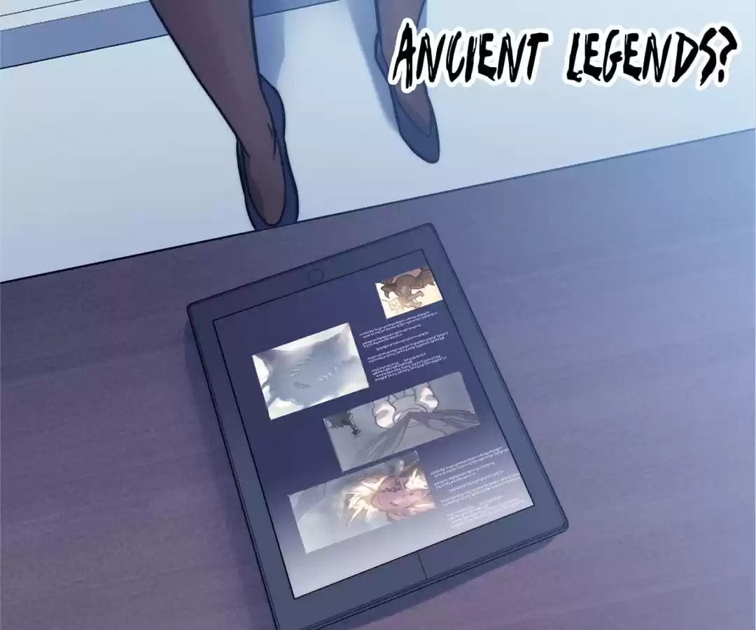Assassin in Another World Chapter 60 page 161 - 