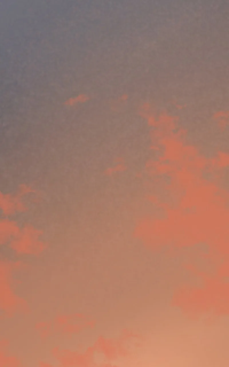 Asterion Chapter 36 page 81 - 