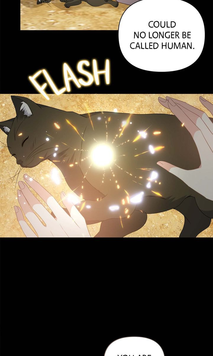 At the Duke's Command Chapter 44 page 15 - 
