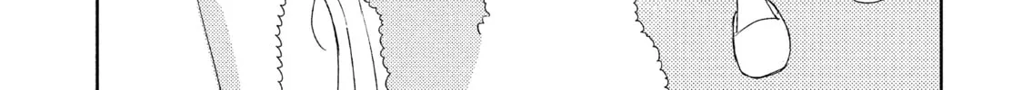 Atsumori-kun’s Bride-to-be Chapter 4 page 34 - 