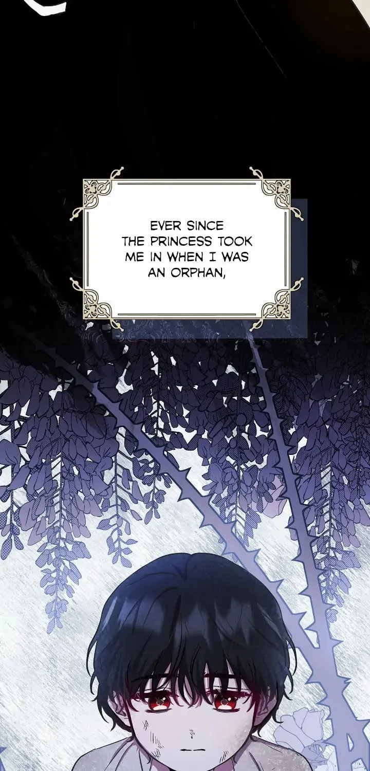 Author, in This Life I'm the Protagonist Chapter 3 page 17 - 