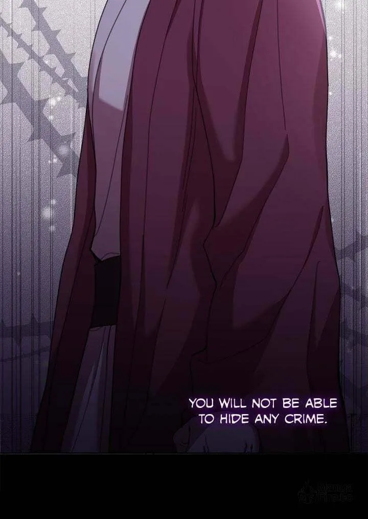 Author, in This Life I'm the Protagonist Chapter 62 page 9 - 
