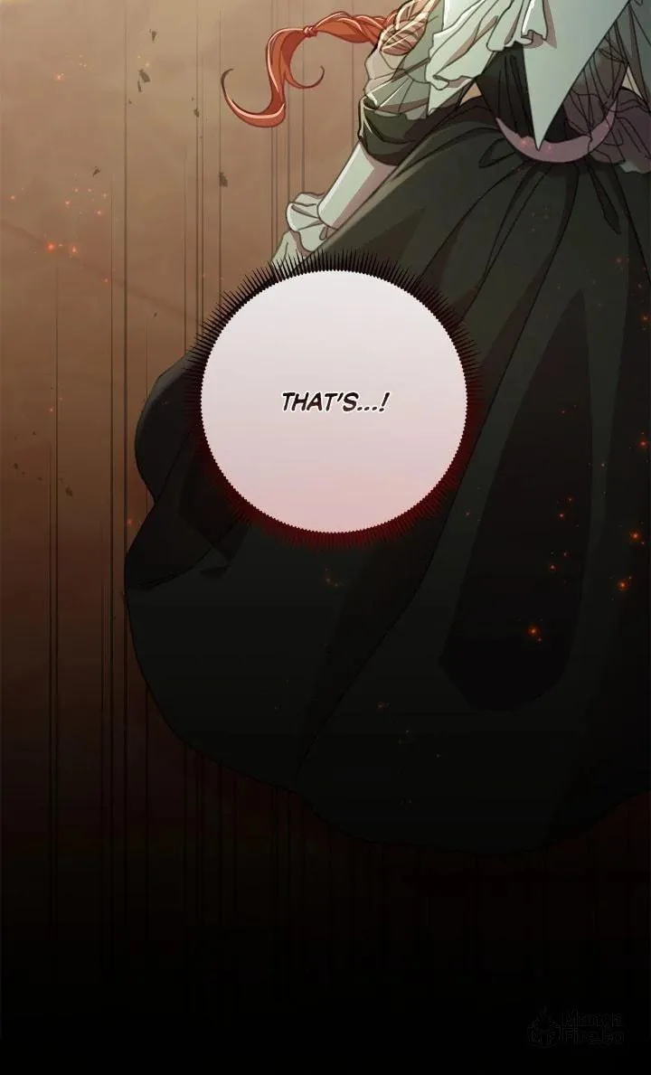 Author, in This Life I'm the Protagonist Chapter 71 page 17 - 