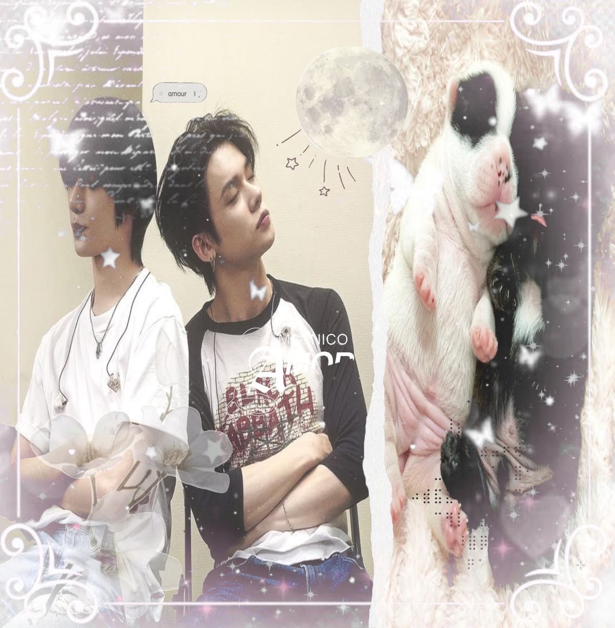 paku._bear
