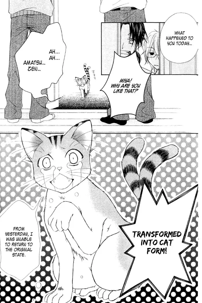 Ayakashi Tennen Beans Chapter 3 page 11 - 