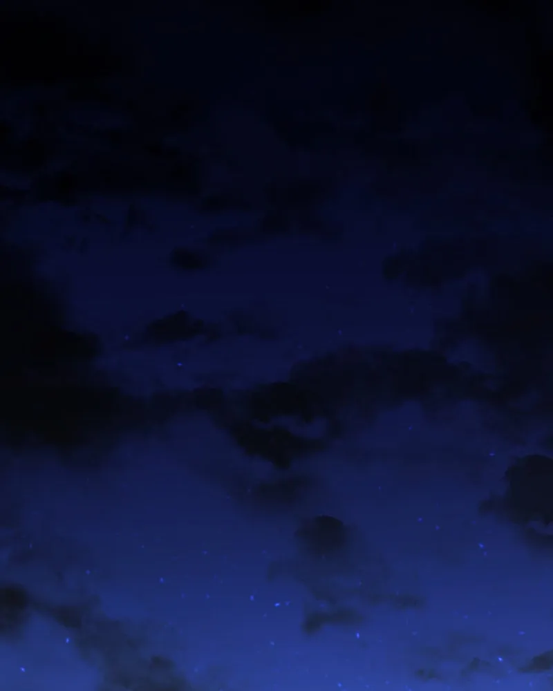 Back From Black Chapter 37 page 132 - 
