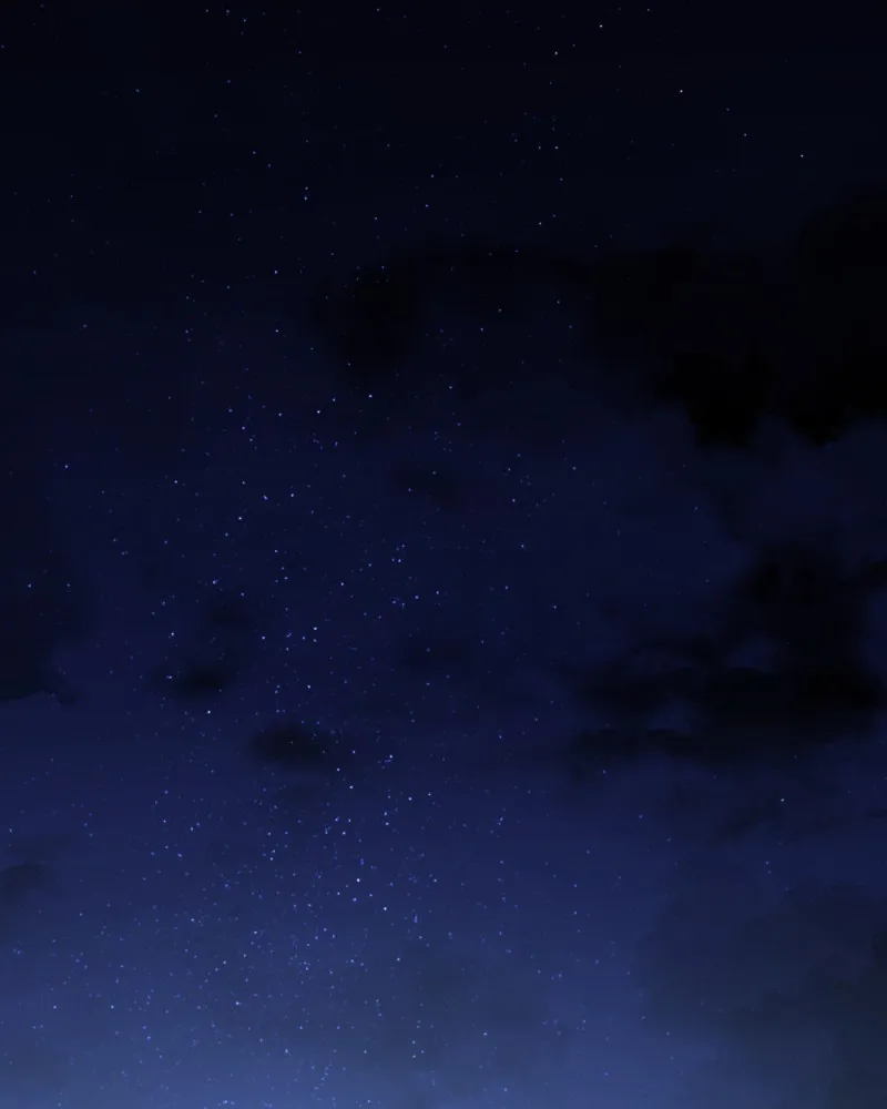 Back From Black Chapter 38 page 142 - 