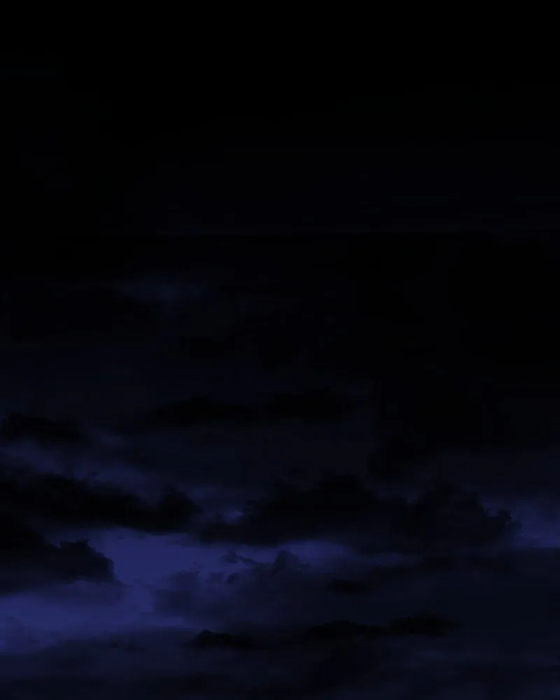 Back From Black Chapter 48 page 1 - 