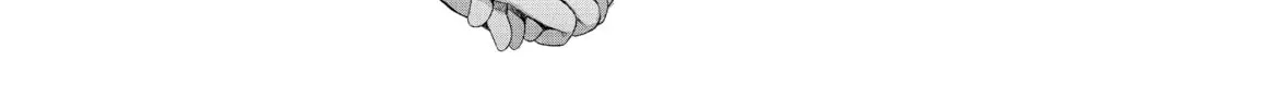 Bakemonogatari Chapter 184 page 4 - 
