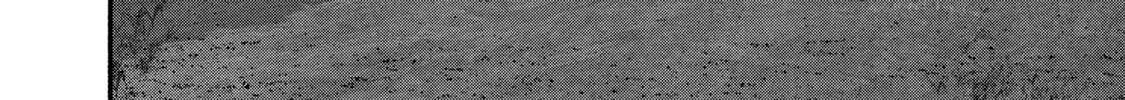 Battle Studies Chapter 390 page 8 - 