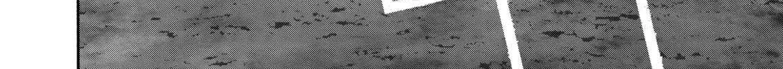 Battle Studies Chapter 404 page 22 - 