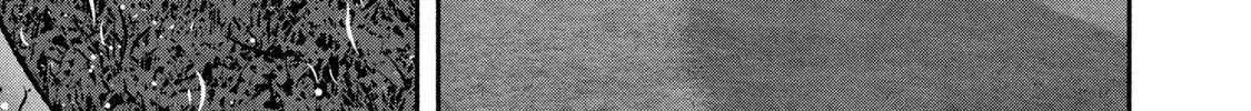 Battle Studies Chapter 426 page 34 - 
