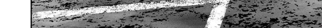 Battle Studies Chapter 448 page 5 - 