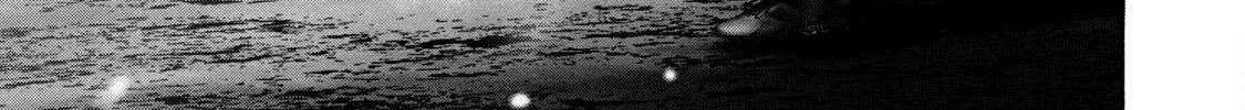 Battle Studies Chapter 449 page 34 - 