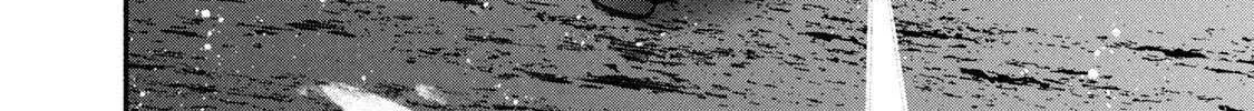 Battle Studies Chapter 453 page 28 - 
