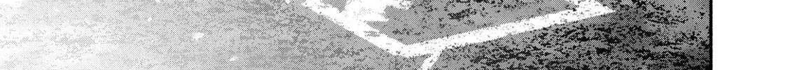 Battle Studies Chapter 462 page 30 - 