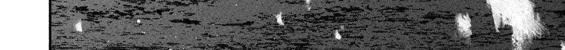 Battle Studies Chapter 465 page 6 - 