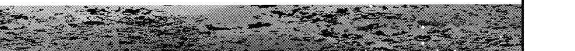 Battle Studies Chapter 480 page 18 - 