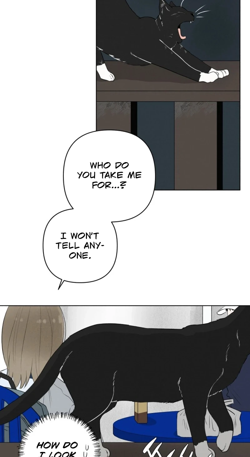 Be a Tomato Chapter 9 page 15 - 
