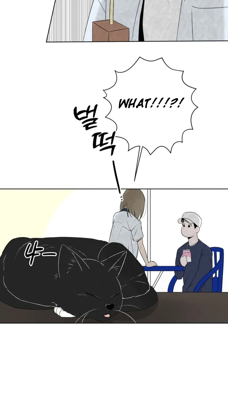 Be a Tomato Chapter 9 page 19 - 