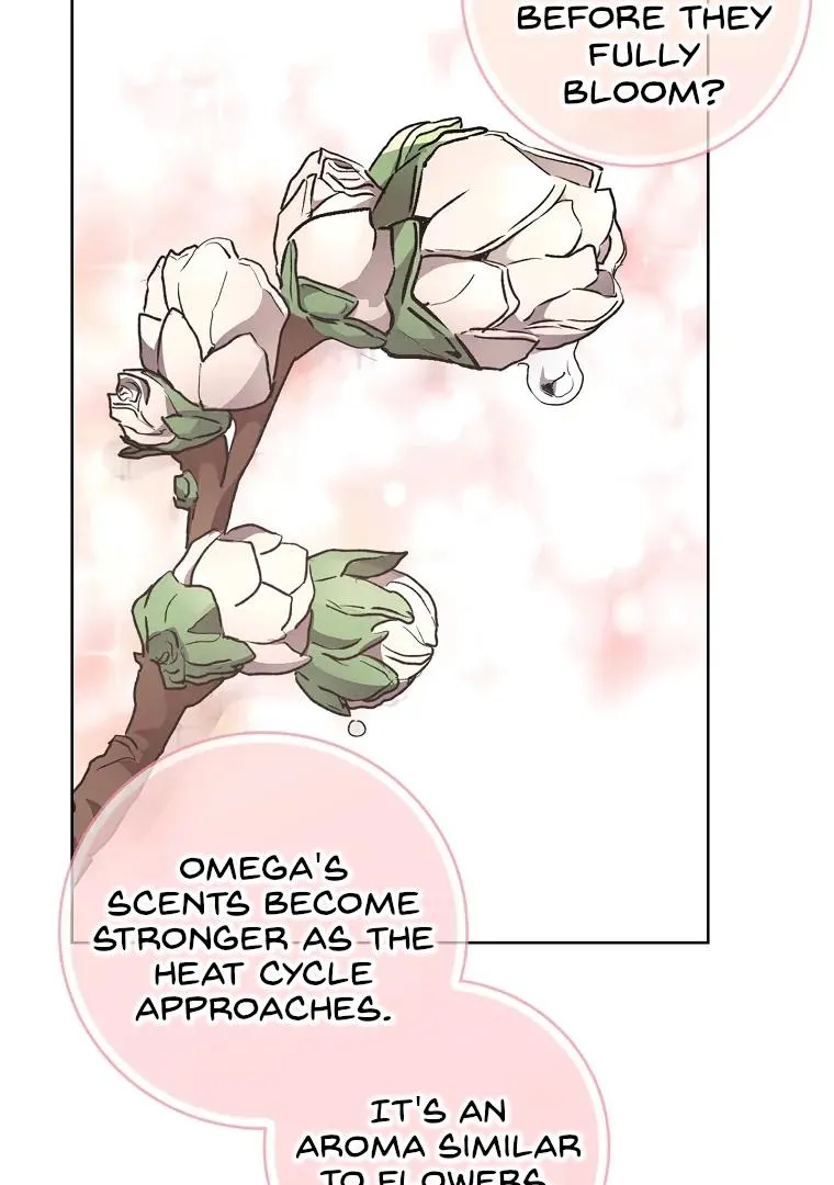 Be.Be. Chapter 23 page 24 - 