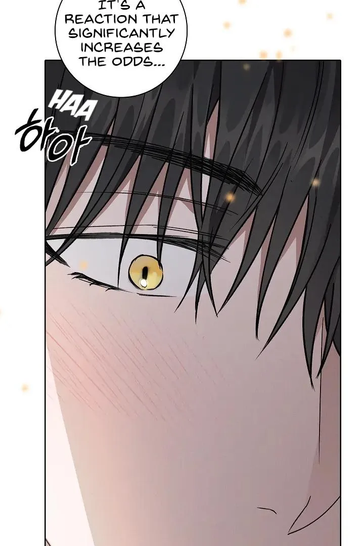 Be.Be. Chapter 26 page 117 - 