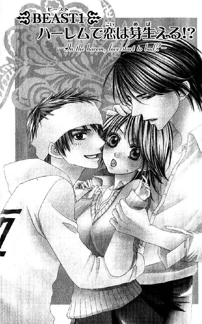 Beast Harem Chapter 1 page 8 - 