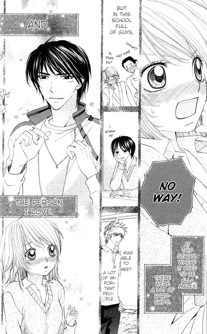 Beast Harem Chapter 3 page 37 - 