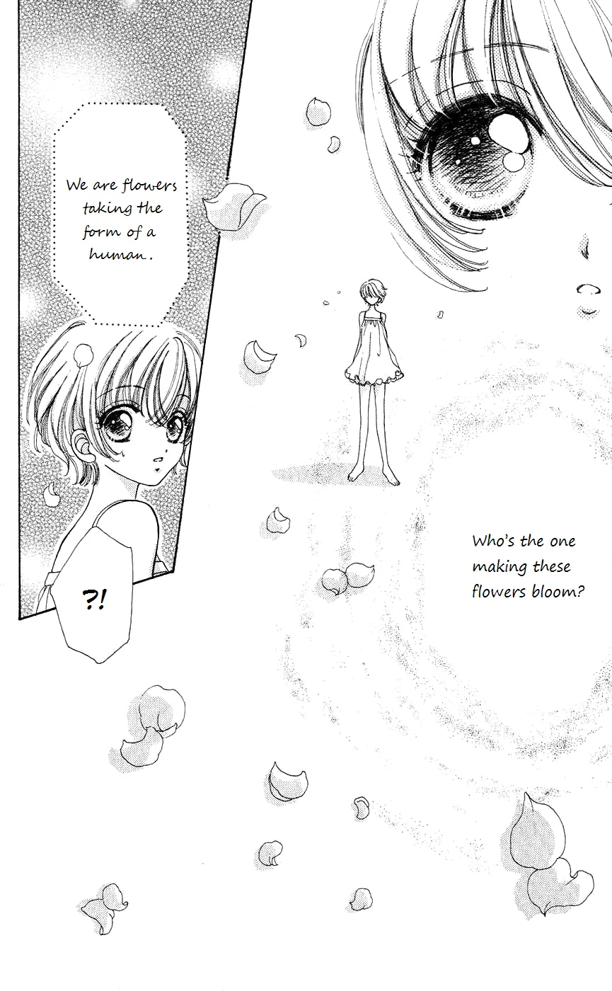 Become a Flower Chapter 47 page 25 - 