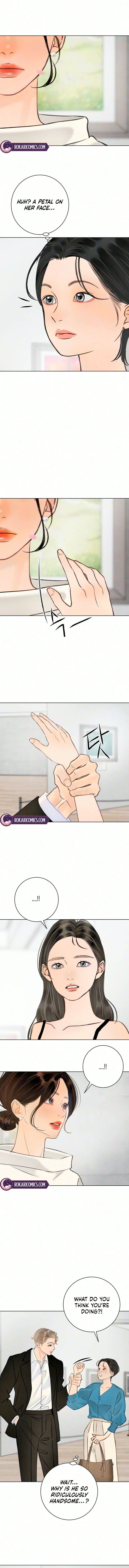 Before the grapes ripen Chapter 52 page 13 - 