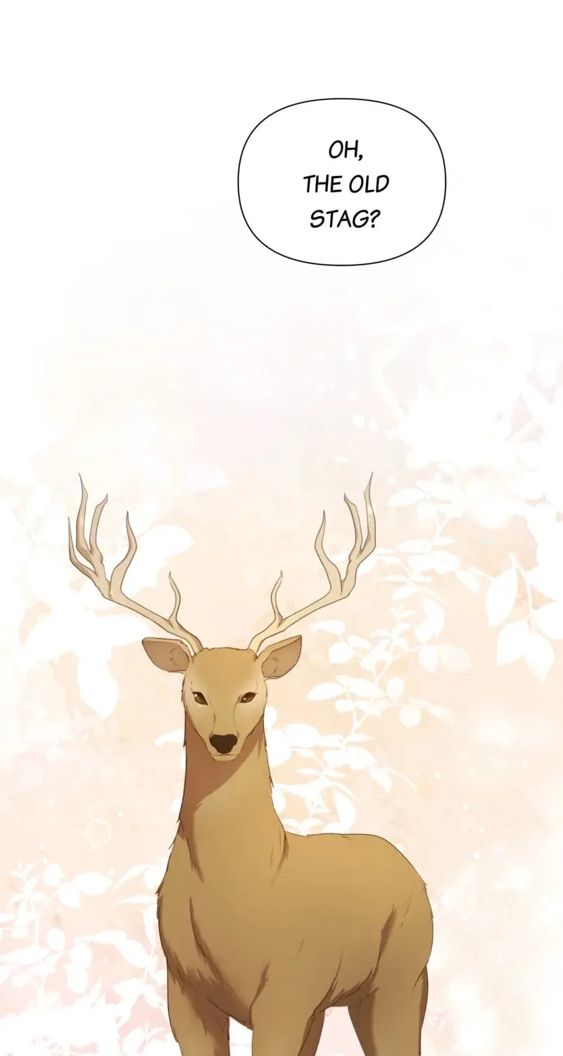 Begrudgingly Yours Chapter 25 page 66 - 