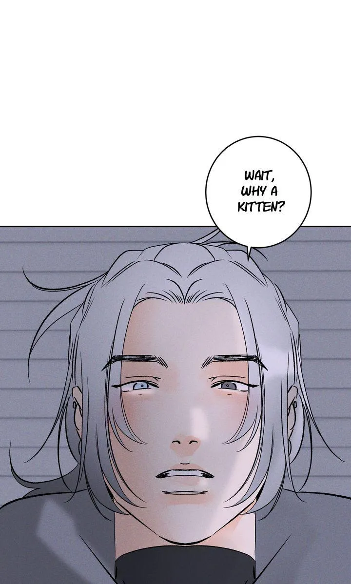 Behind the Lens Chapter 21 page 60 - 