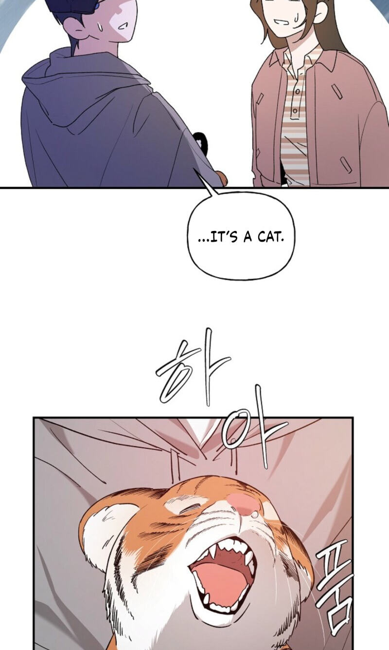 Behold, the Tiger Chapter 37 page 11 - 