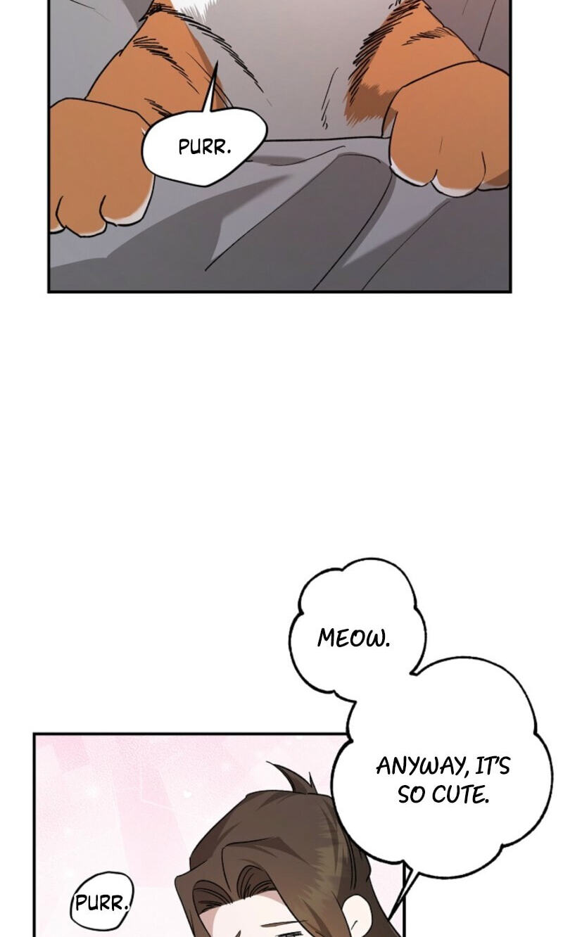 Behold, the Tiger Chapter 37 page 12 - 
